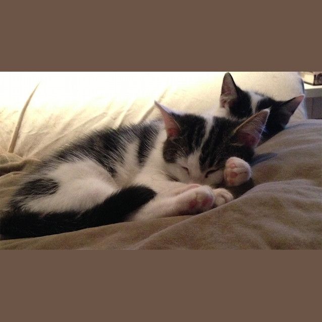 Photo of Mimi
