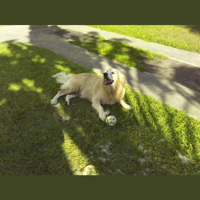 Photo of Sharnie