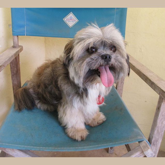 Photo of Mo Mo (E1100)