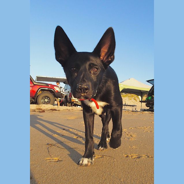 Photo of Jet