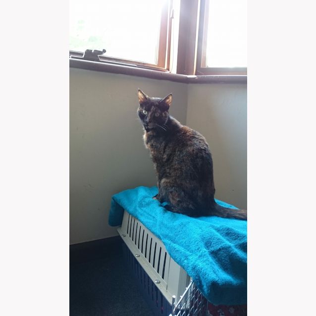 Photo of Tilda