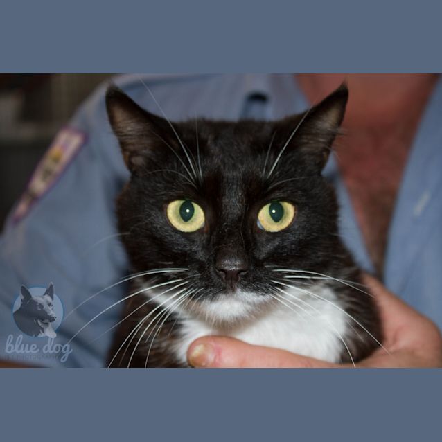 Photo of Sarah (C954)