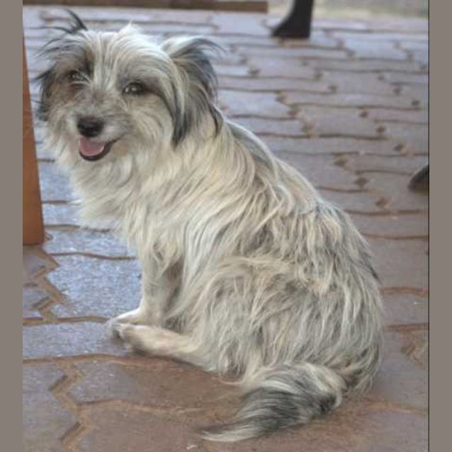 Photo of Tiny