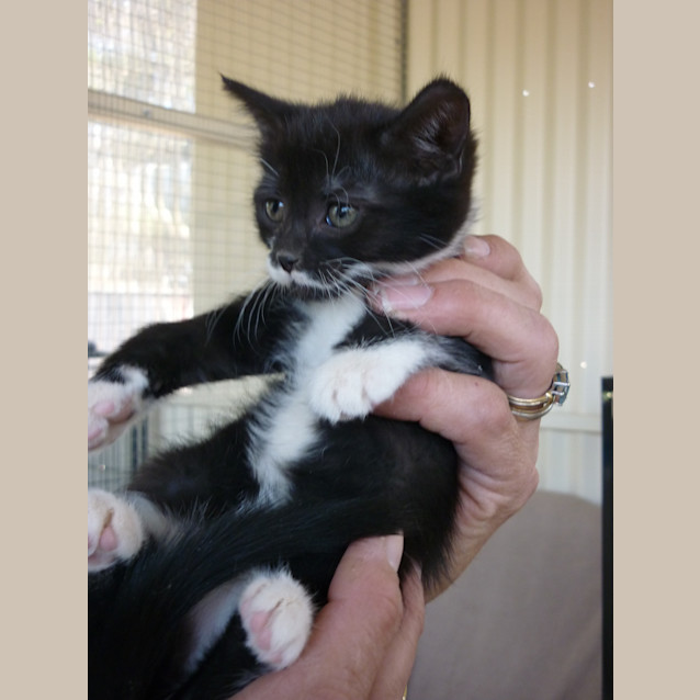 Photo of Mo  (Ready 7.2.14)