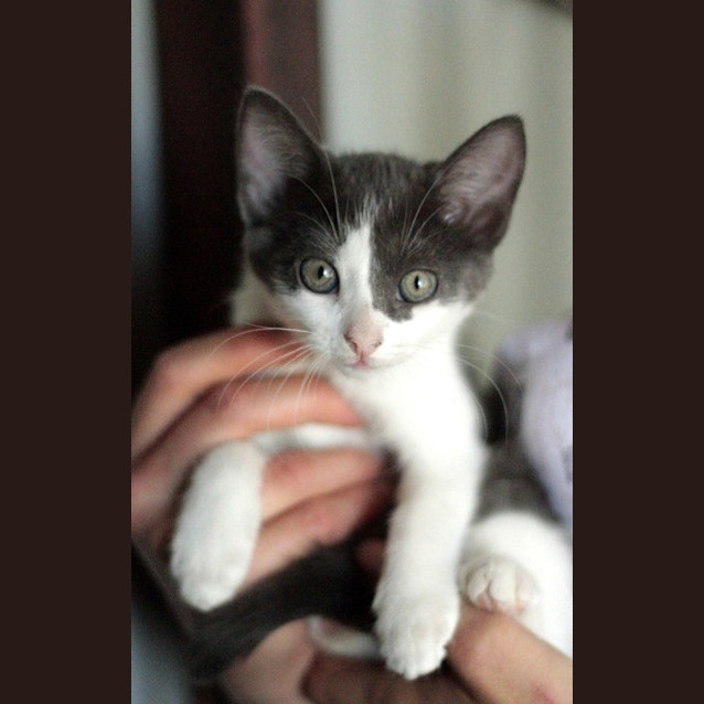 Photo of Candy 