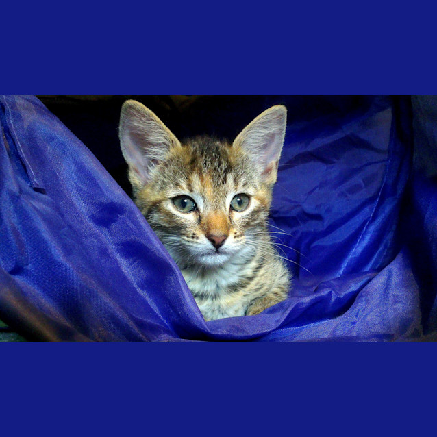 Photo of Lily