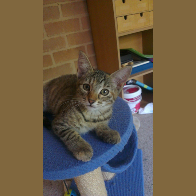 Photo of Lily