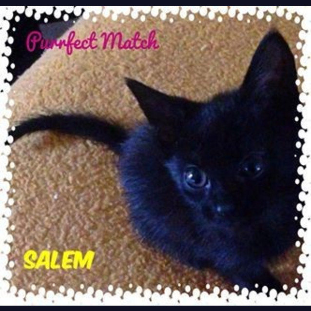 Photo of Salem