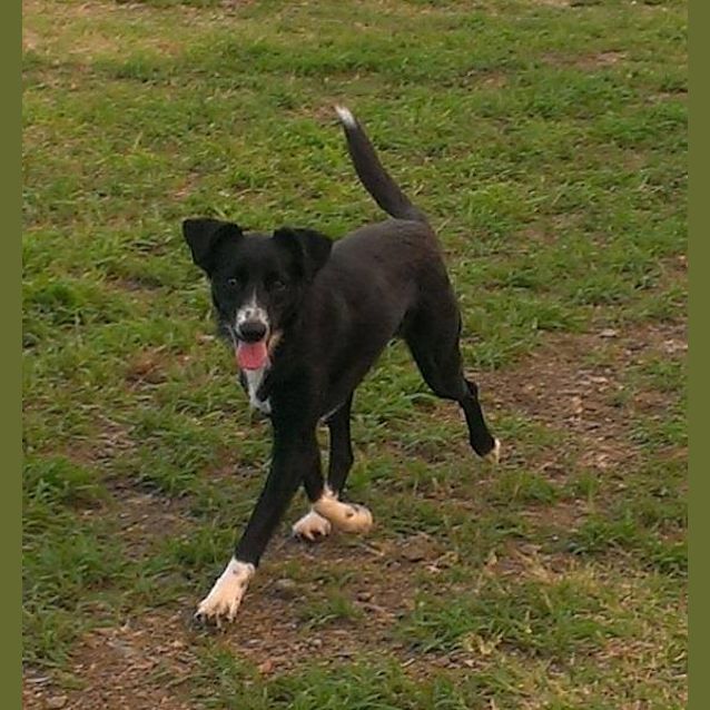 Photo of Dharma