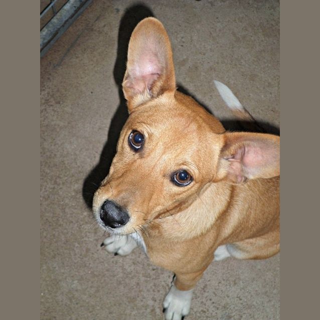 Photo of Pavarotti **An Adorable Little Man**