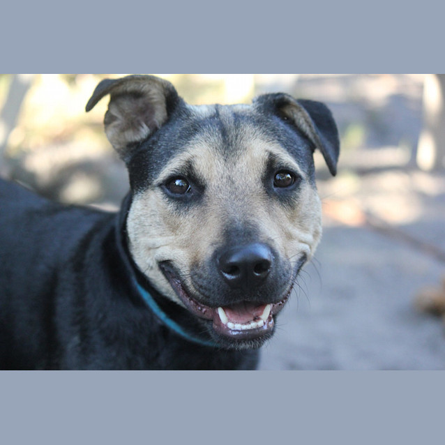 Photo of Missy