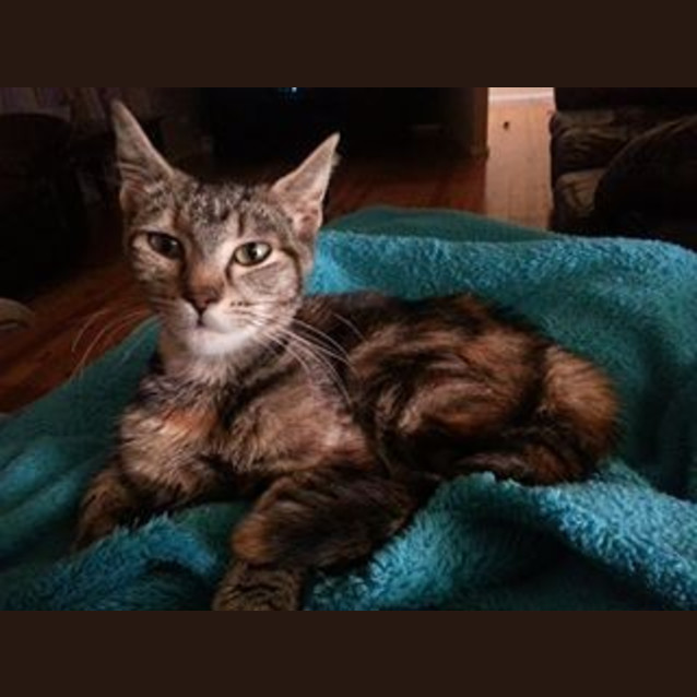 Photo of Jasmine