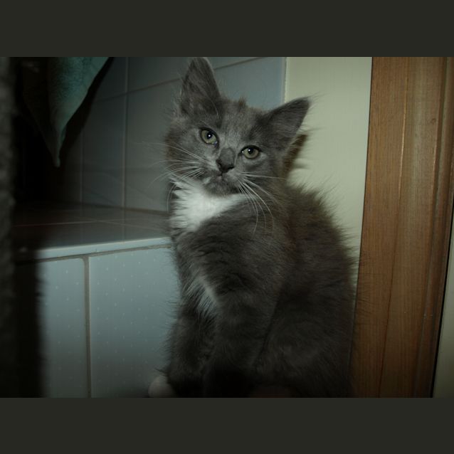 Photo of Milly