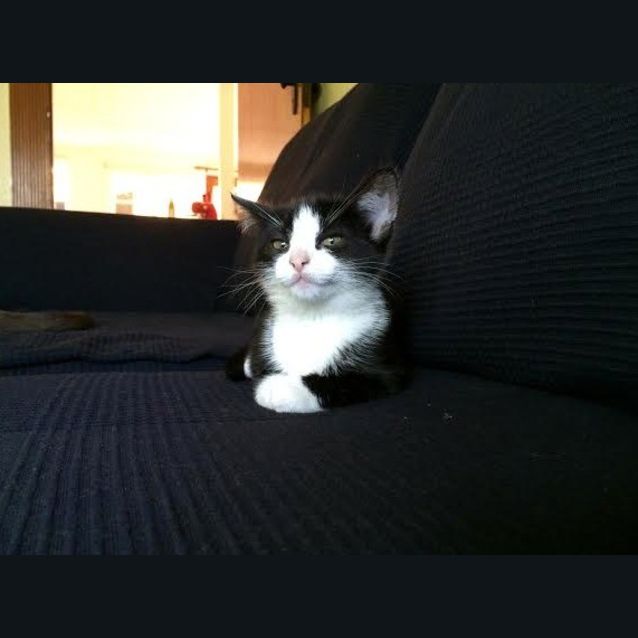 Photo of Sienna