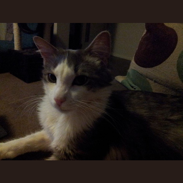 Photo of Lucky