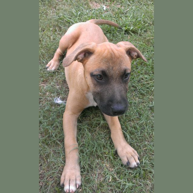 Photo of Zaleigh