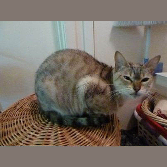 Photo of Whitney