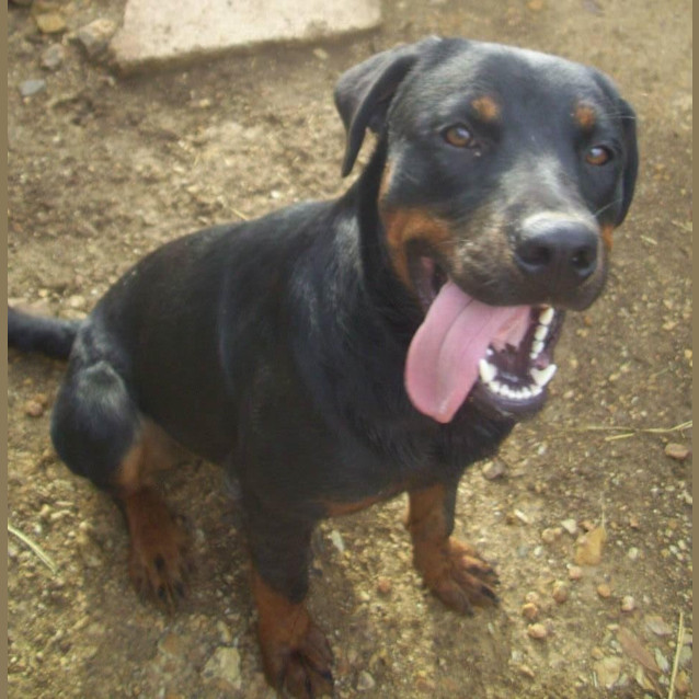 Photo of Meeka