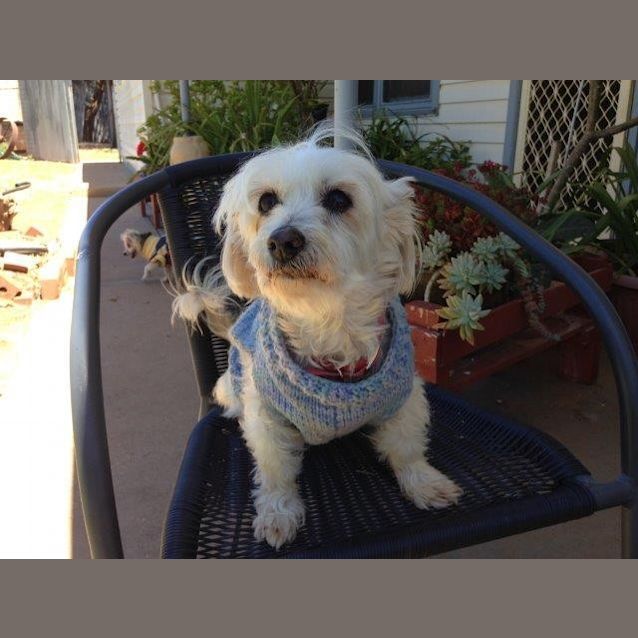 Photo of Ms Teddy Bear Jolson