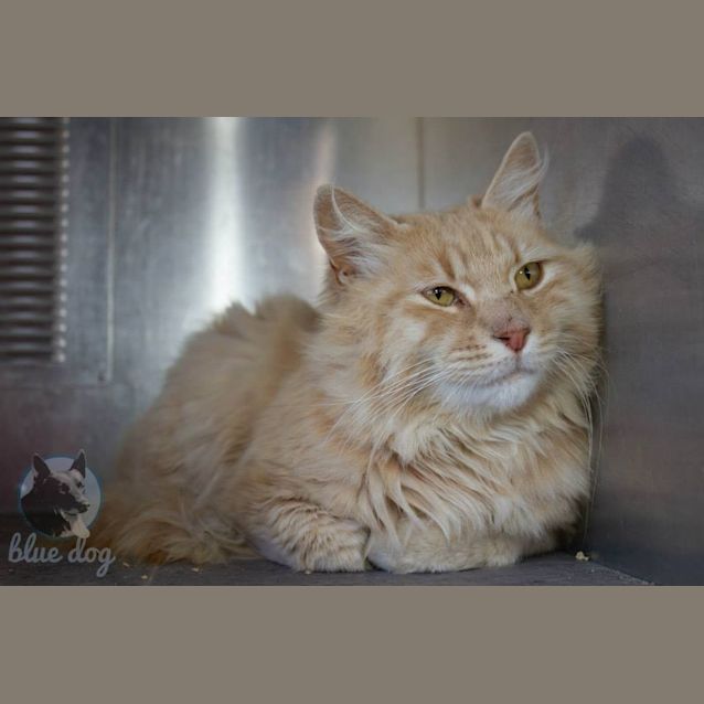 Photo of Graham (C960)