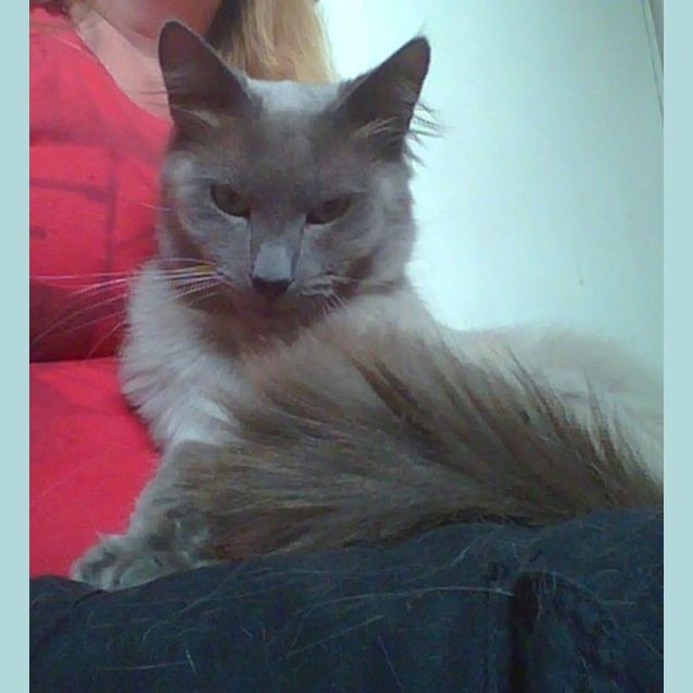 Photo of Mister