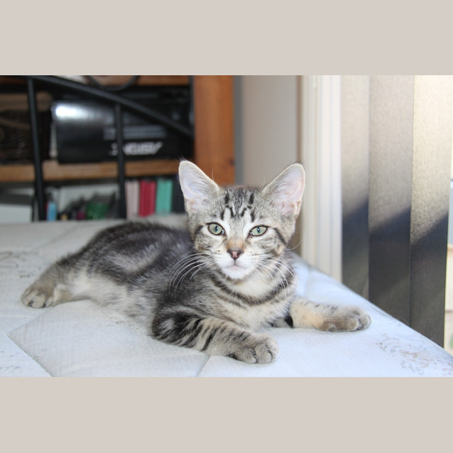 Photo of Burnie