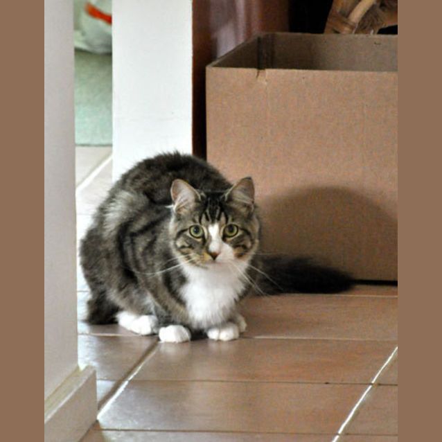 Photo of Missy (Bn C134) 