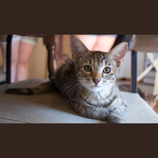 Photo of Lily
