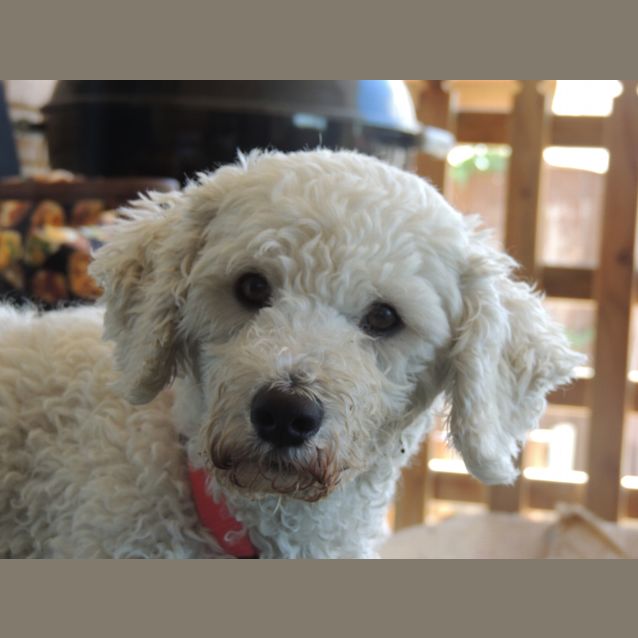 Photo of Edwina (Eddie)