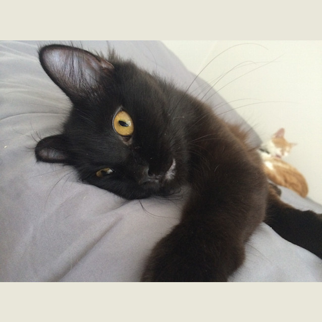 Photo of Chloe