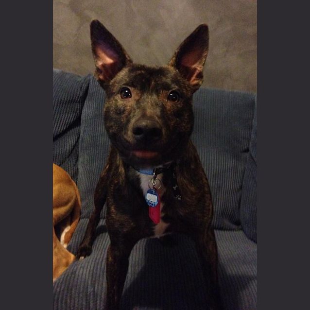 Photo of Zee