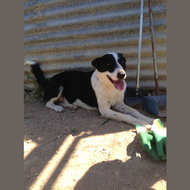 Photo of Lucy