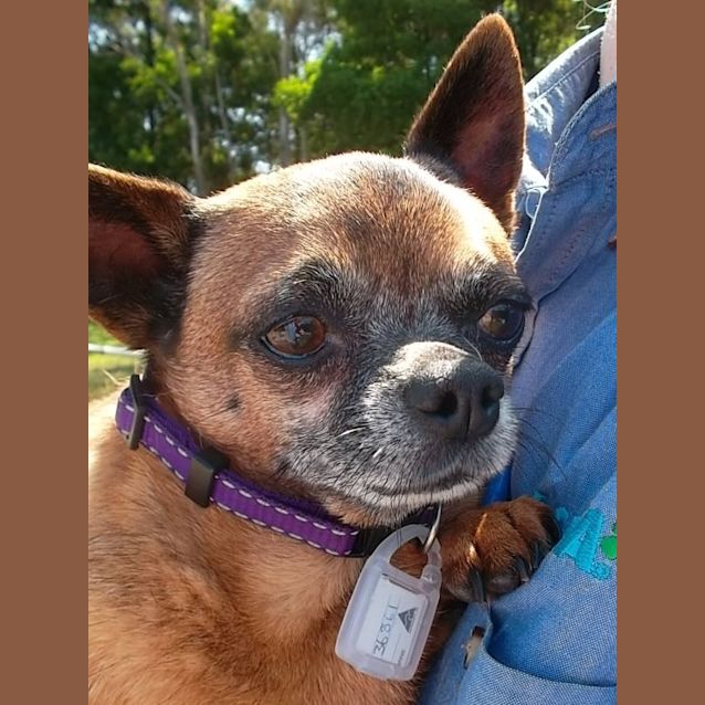 Photo of Penny