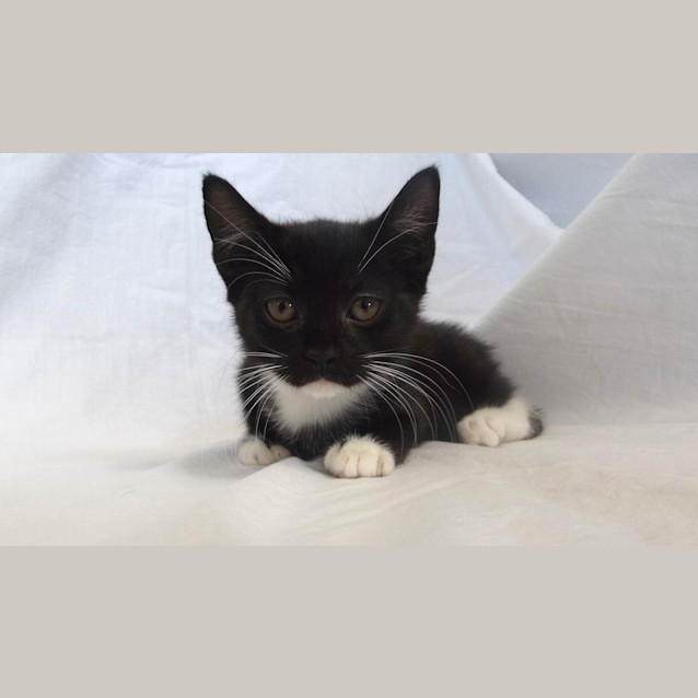 Photo of Boots