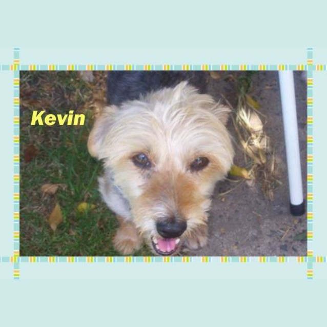Photo of Kevin