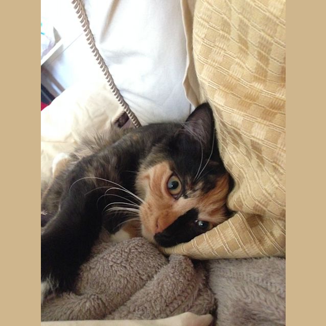 Photo of Neena