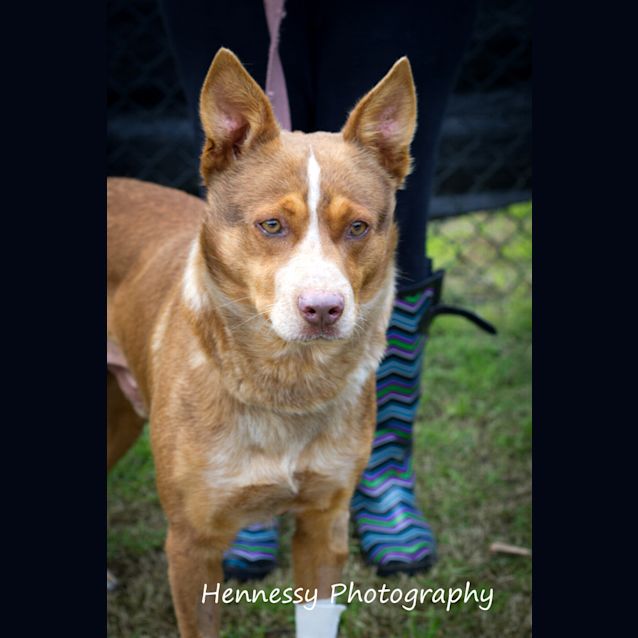 Photo of Toby