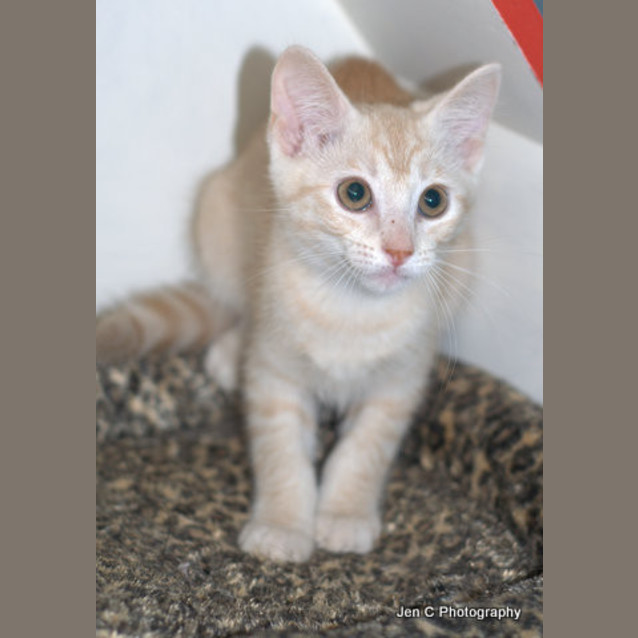 Photo of Flint