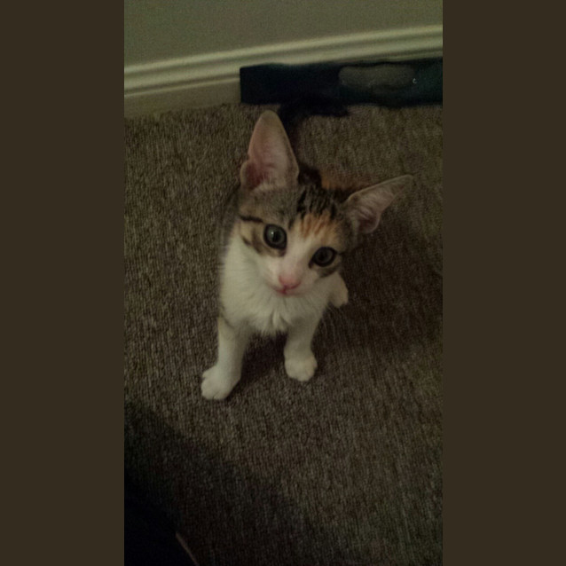Photo of Mia