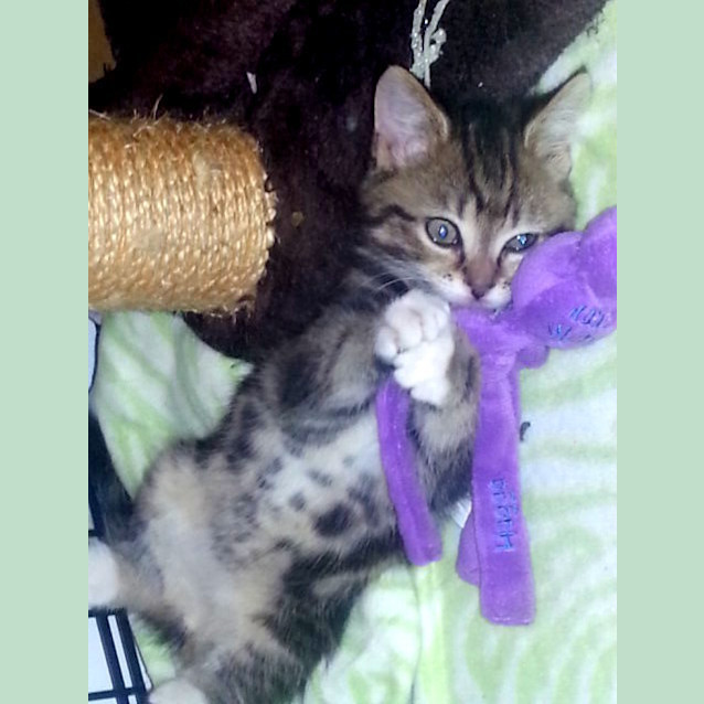 Photo of Annie