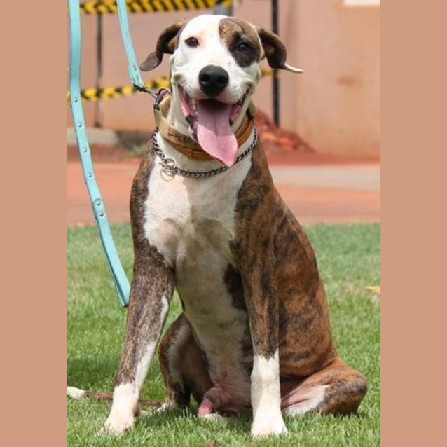 Photo of Hugo