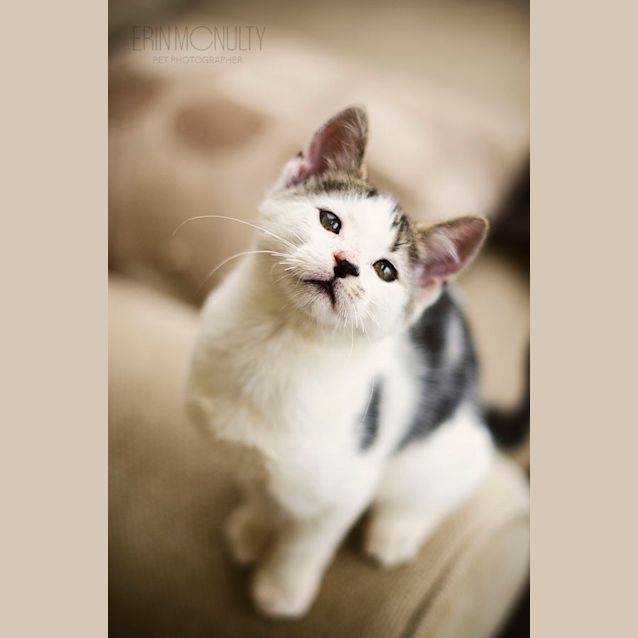 Photo of Tin Tin   Mr Personality Plus