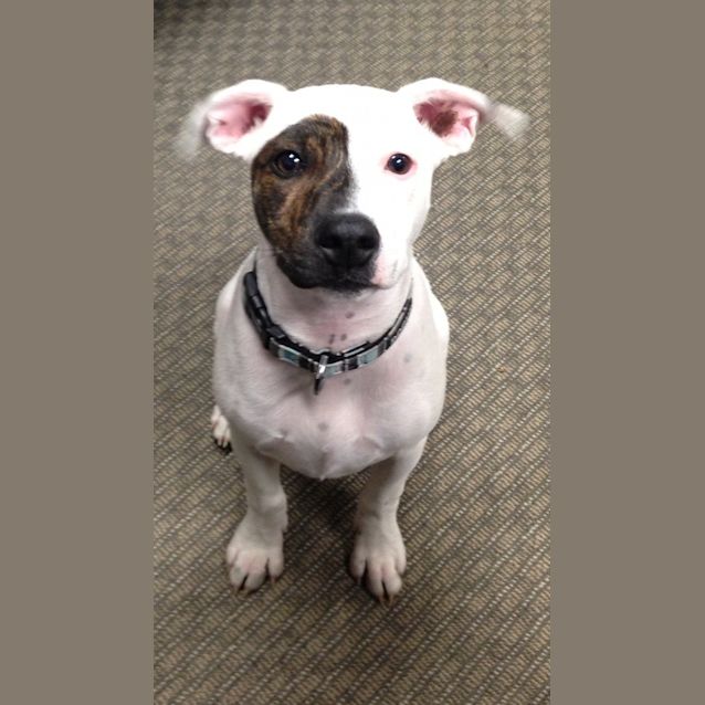 Photo of Milly