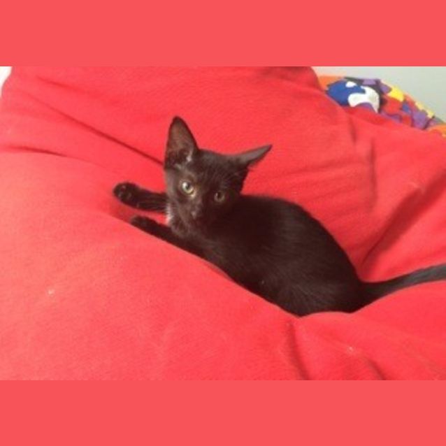 Photo of Milly