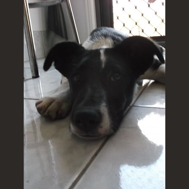Photo of Freddy