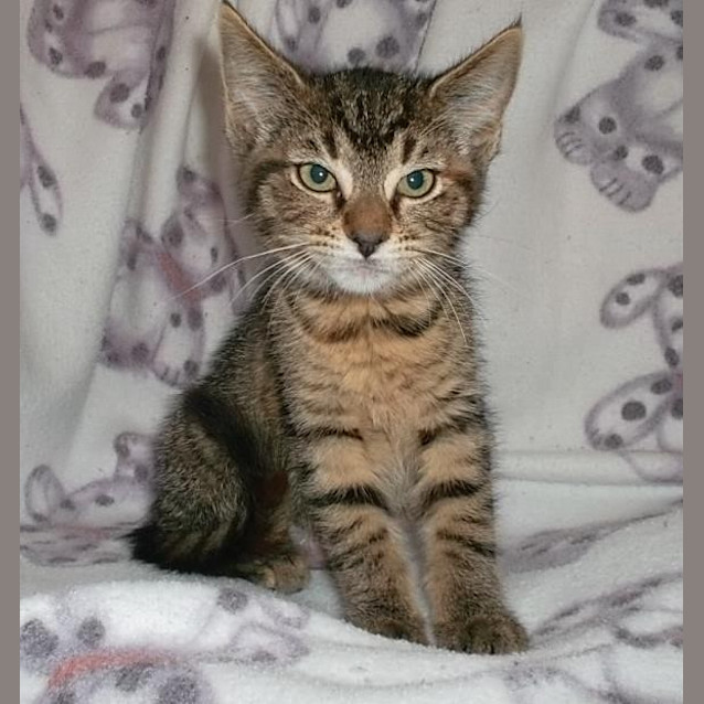 Photo of Greta