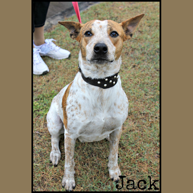 Photo of Jack