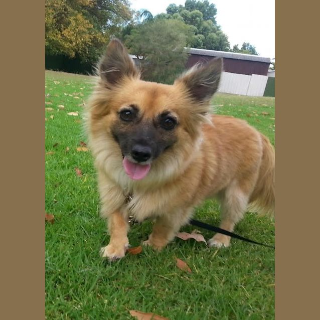 Photo of Angel
