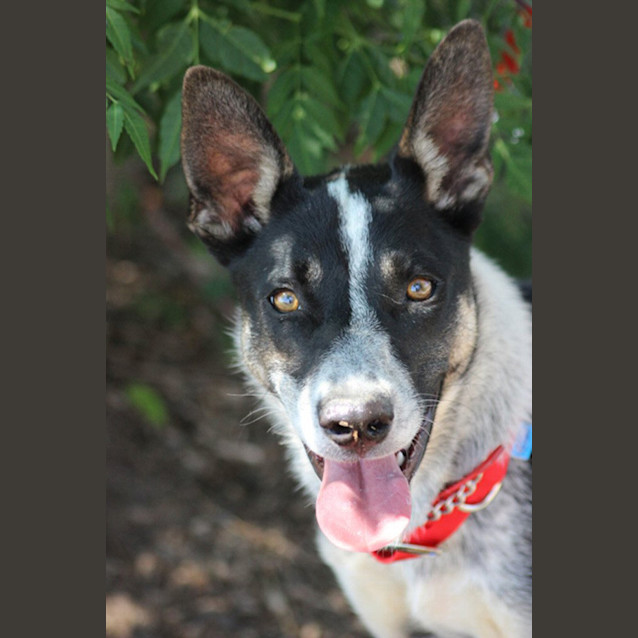 Photo of Sally