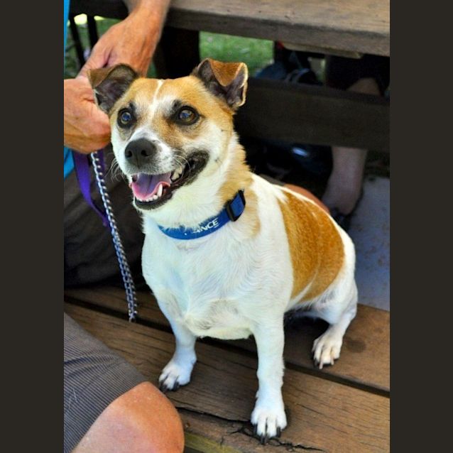 Photo of Mitzy (Bn D195) 